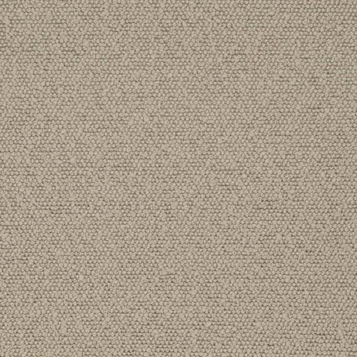 Charlotte - D3635 - Mushroom - Fabric by the Yard Mushroom