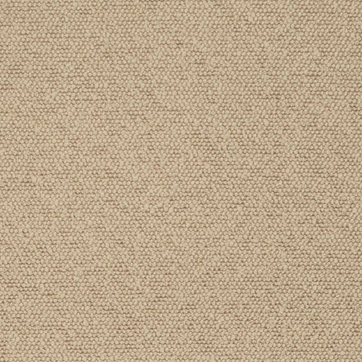 Charlotte - D3636 - Oat - Fabric by the Yard Oat