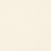 Charlotte - D3637 - Ivory - Fabric by the Yard Ivory