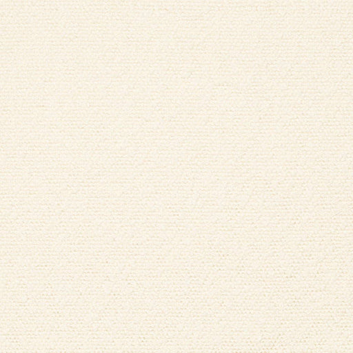 Charlotte - D3637 - Ivory - Fabric by the Yard Ivory