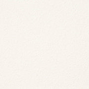Charlotte - D3638 - Snow - Fabric by the Yard Snow