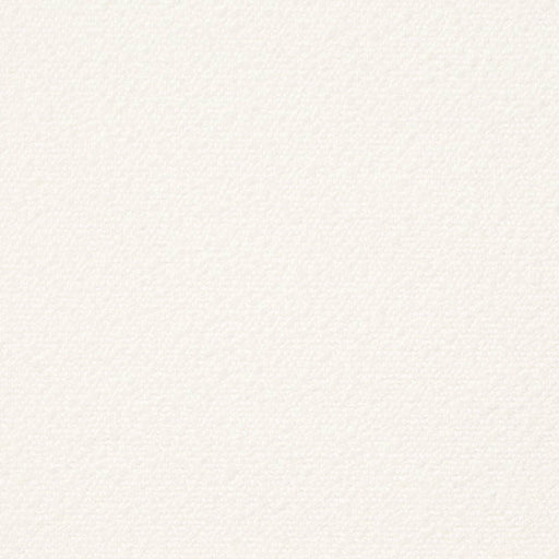 Charlotte - D3638 - Snow - Fabric by the Yard Snow