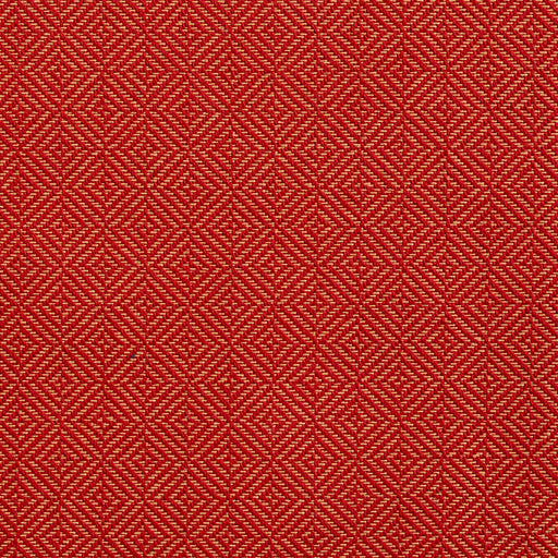Charlotte - D363 - Spice - Fabric by the Yard Spice