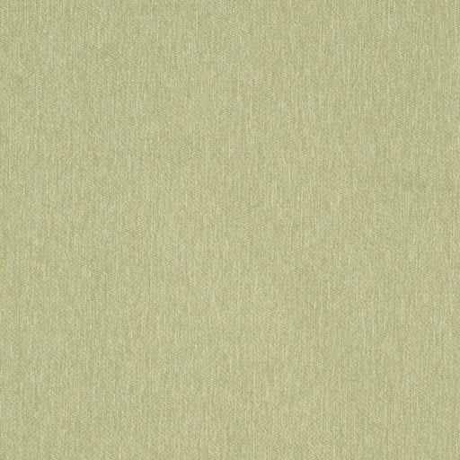 Charlotte - D3641 - Moss - Fabric by the Yard Moss