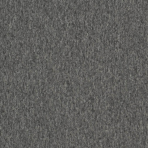 Charlotte - D3642 - Iron - Fabric by the Yard Iron