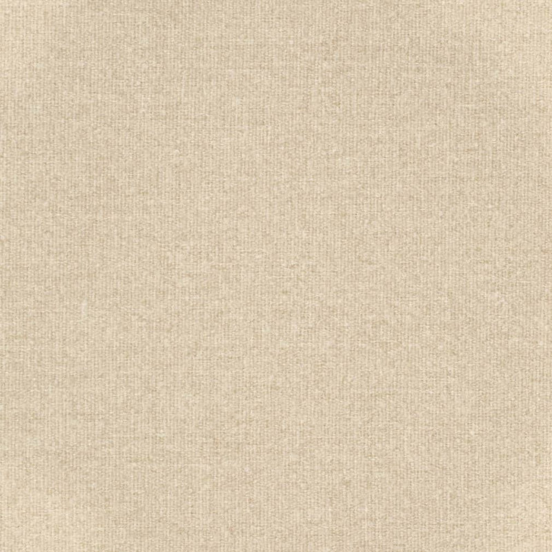 Charlotte - D3647 - Ecru - Fabric by the Yard Ecru