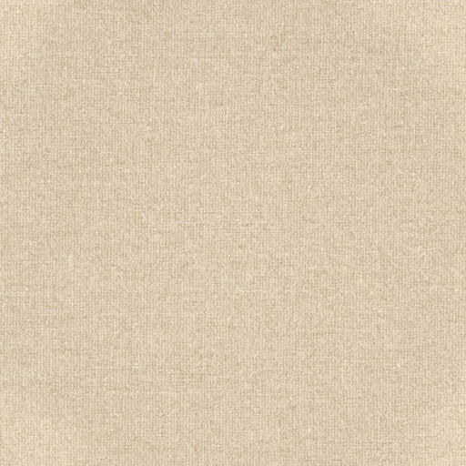 Charlotte - D3647 - Ecru - Fabric by the Yard Ecru