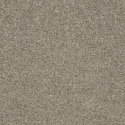 Charlotte - D3648 - Feather - Fabric by the Yard Feather
