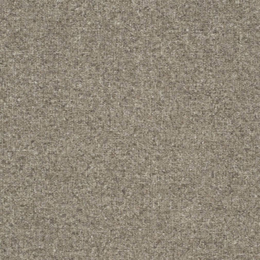 Charlotte - D3648 - Feather - Fabric by the Yard Feather