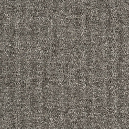 Charlotte - D3651 - Bark - Fabric by the Yard Bark