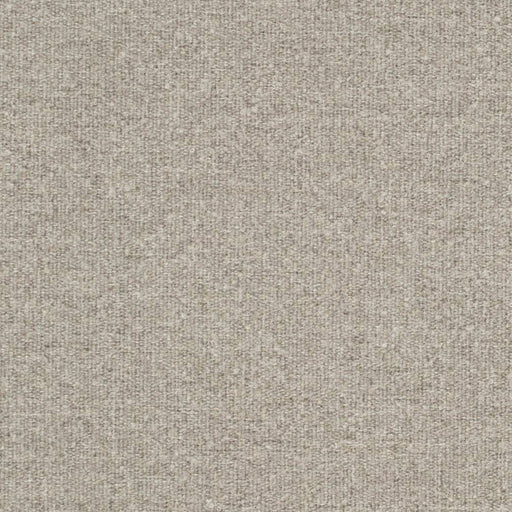 Charlotte - D3652 - Dove - Fabric by the Yard Dove