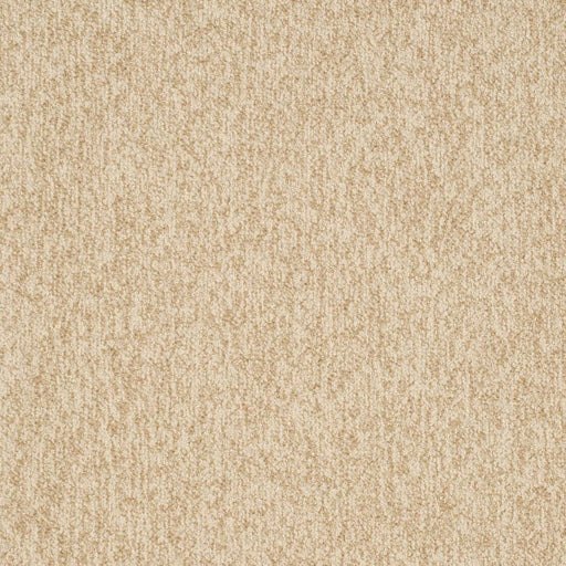 Charlotte - D3653 - Sand - Fabric by the Yard Sand