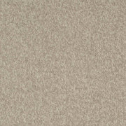 Charlotte - D3655 - Driftwood - Fabric by the Yard Driftwood
