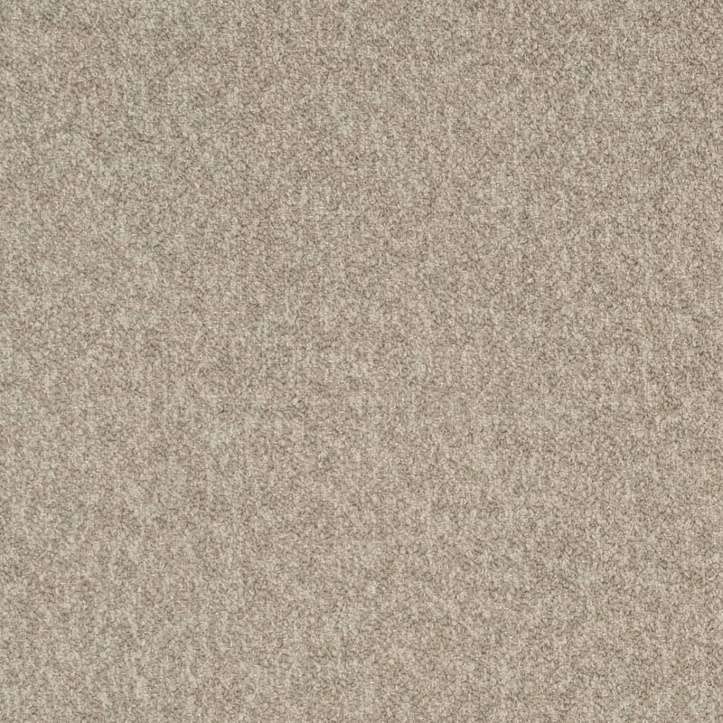 Charlotte - D3655 - Driftwood - Fabric by the Yard Driftwood