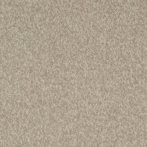 Charlotte - D3655 - Driftwood - Fabric by the Yard Driftwood
