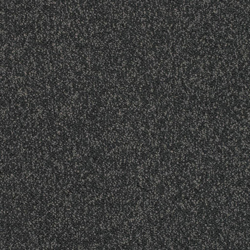 Charlotte - D3656 - Peppercorn - Fabric by the Yard Peppercorn