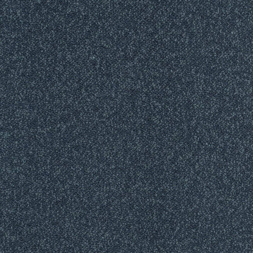 Charlotte - D3657 - Navy - Fabric by the Yard Navy