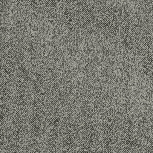 Charlotte - D3659 - Fossil - Fabric by the Yard Fossil