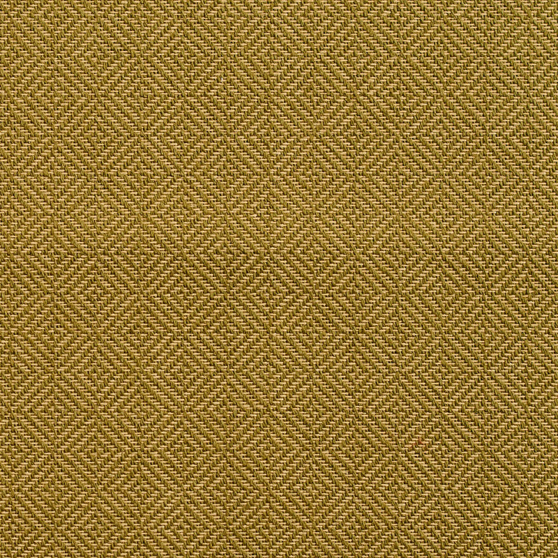 Charlotte - D365 - Moss - Fabric by the Yard Moss