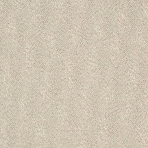 Charlotte - D3661 - Zinc - Fabric by the Yard Zinc