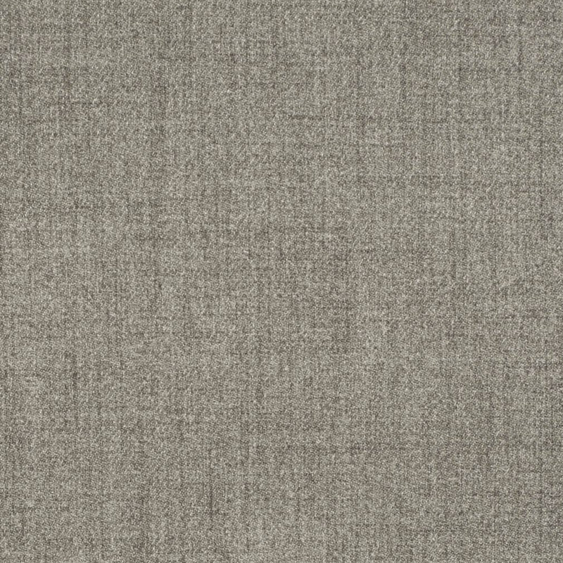 Charlotte - D3668 - Ash - Fabric by the Yard Ash