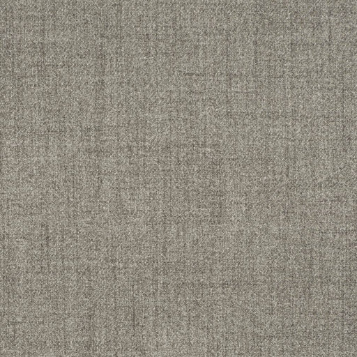 Charlotte - D3668 - Ash - Fabric by the Yard Ash