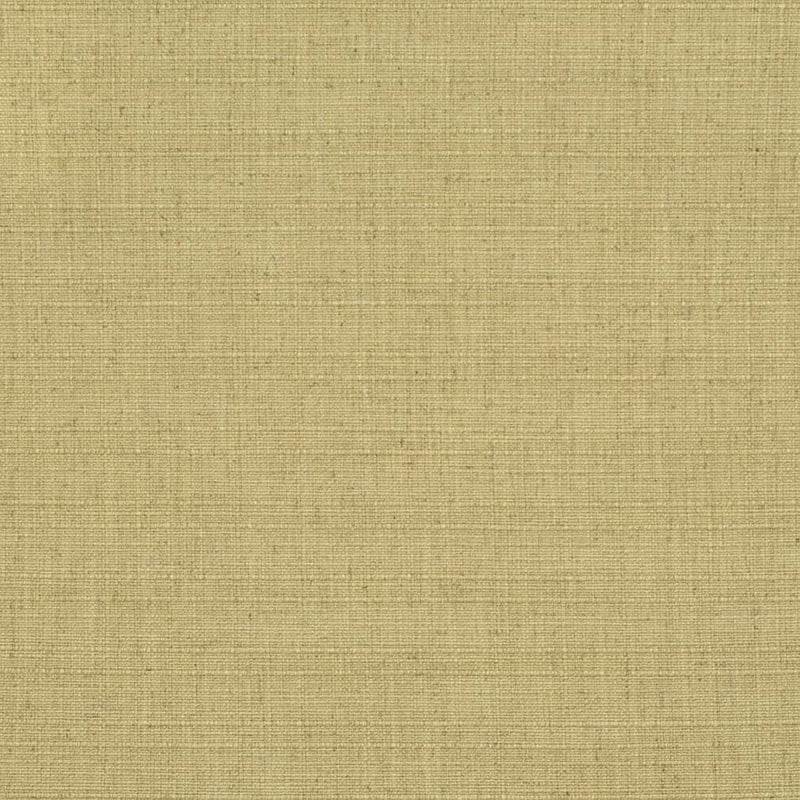 Charlotte - D3680 - Pear - Fabric by the Yard Pear