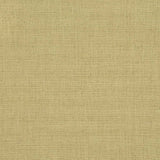 Charlotte - D3680 - Pear - Fabric by the Yard