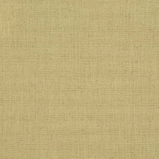Charlotte - D3680 - Pear - Fabric by the Yard Pear