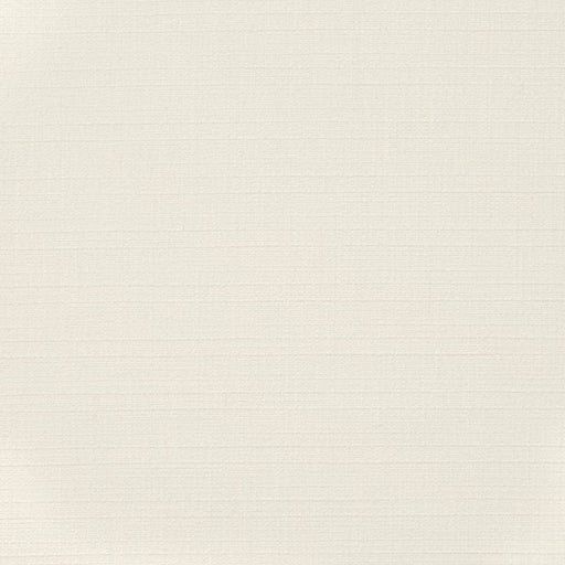 Charlotte - D3681 - Snow - Fabric by the Yard Snow