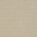 Charlotte - D3685 - Mushroom - Fabric by the Yard
