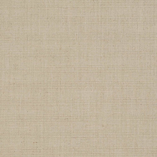 Charlotte - D3685 - Mushroom - Fabric by the Yard Mushroom