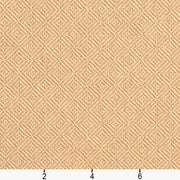 Charlotte - D368 - Gold - Fabric by the Yard - D368 - D368_Ruler