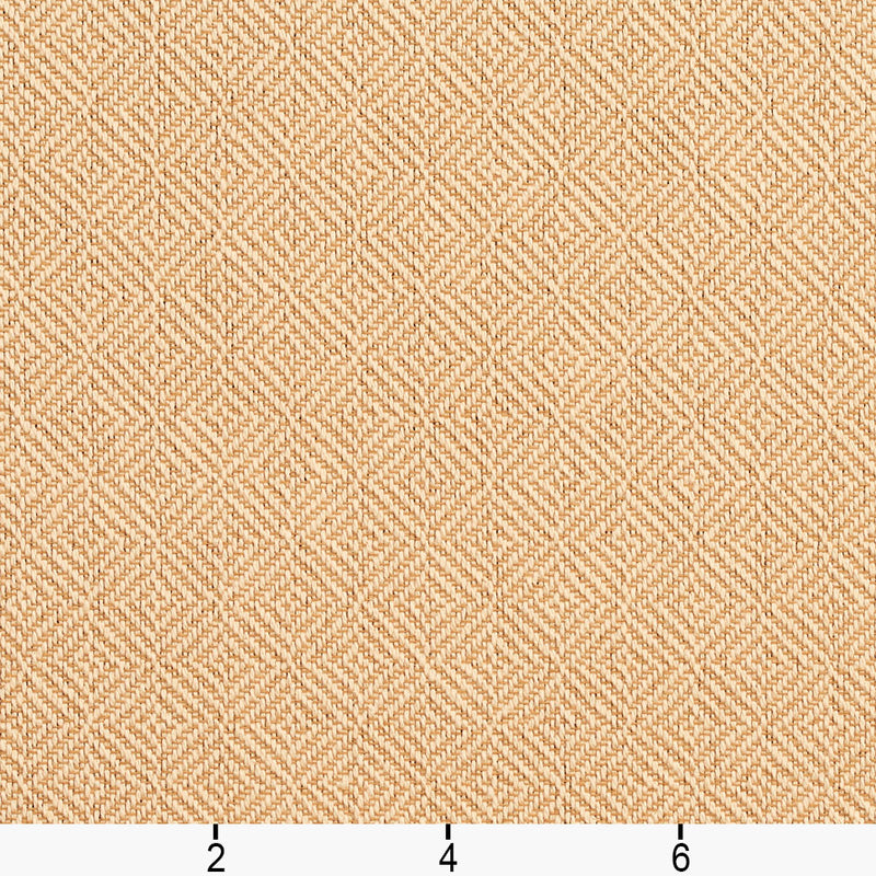 Charlotte - D368 - Gold - Fabric by the Yard - D368 - D368_Ruler