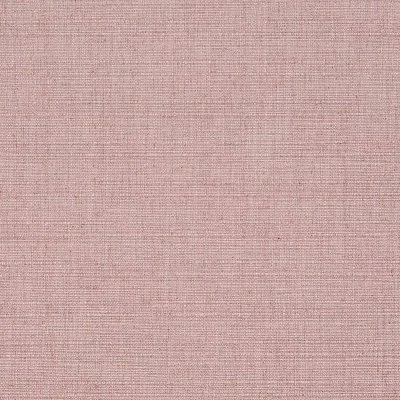 Charlotte - D3692 - Orchid - Fabric by the Yard Orchid