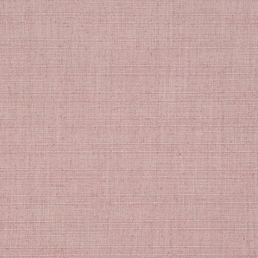 Charlotte - D3692 - Orchid - Fabric by the Yard Orchid