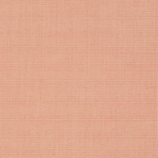 Charlotte - D3703 - Peach - Fabric by the Yard Peach