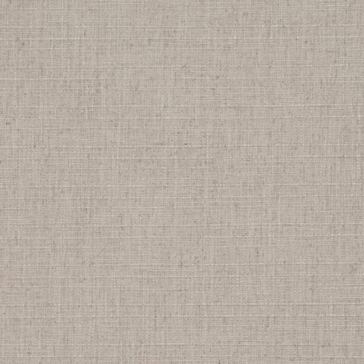 Charlotte - D3705 - Sterling - Fabric by the Yard Sterling