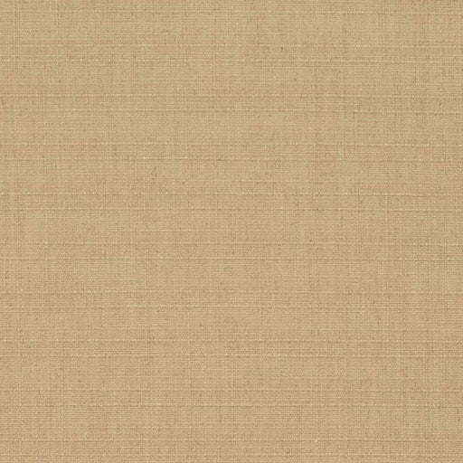 Charlotte - D3710 - Straw - Fabric by the Yard Straw