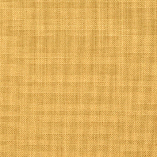 Charlotte - D3711 - Amber - Fabric by the Yard Amber