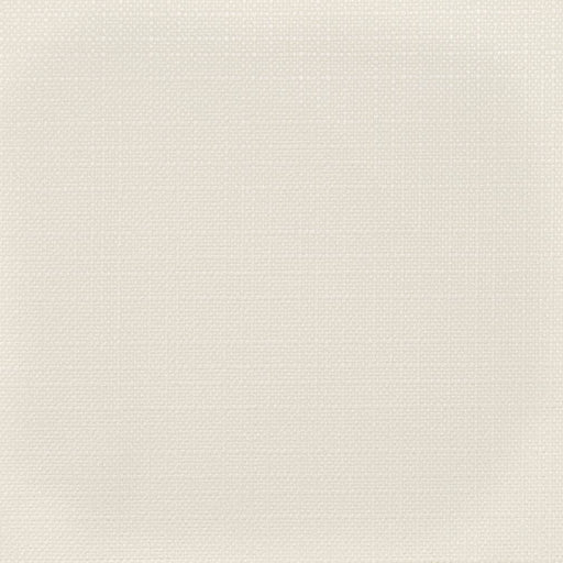 Charlotte - D3720 - Cloud - Fabric by the Yard Cloud