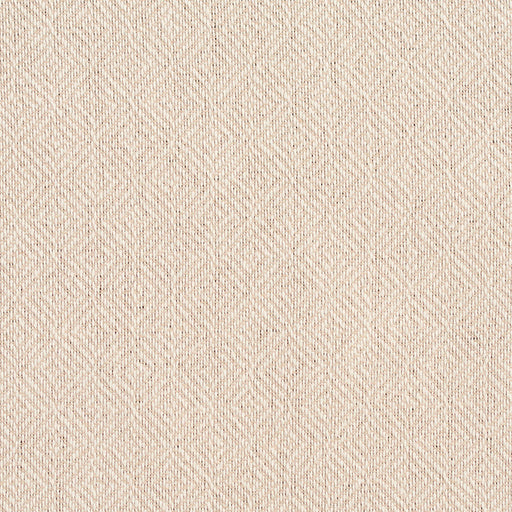 Charlotte - D372 - Ivory - Fabric by the Yard Ivory