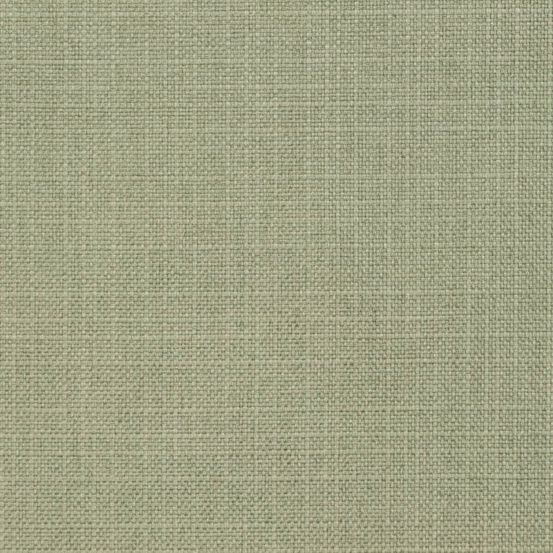 Charlotte - D3738 - Sage - Fabric by the Yard Sage