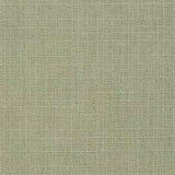 Charlotte - D3738 - Sage - Fabric by the Yard