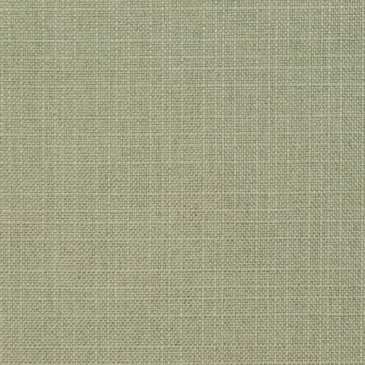 Charlotte - D3738 - Sage - Fabric by the Yard Sage