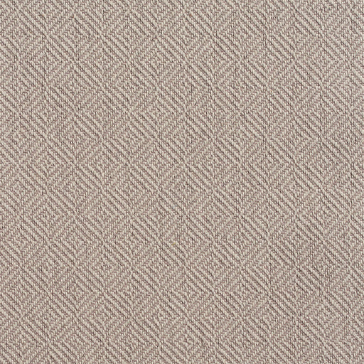 Charlotte - D373 - Grey - Fabric by the Yard Grey