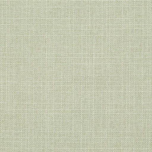 Charlotte - D3743 - Spray - Fabric by the Yard Spray