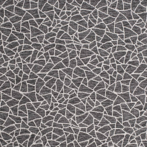 Charlotte - D3753 - Graphite - Fabric by the Yard Graphite