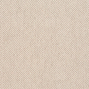 Charlotte - D375 - Parchment - Fabric by the Yard Parchment