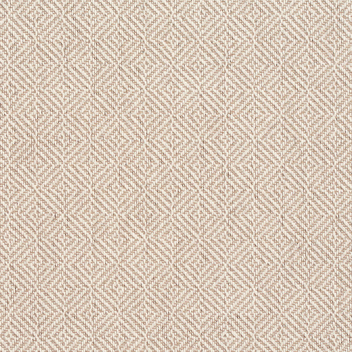 Charlotte - D375 - Parchment - Fabric by the Yard Parchment